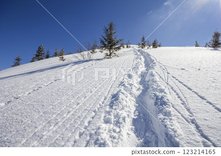 Beautiful winter Christmas landscape. Steep mountain hill slope with path and ski tracks in crystal white deep snow and growing spruce trees on clear bright blue sky copy space background. Beautiful winter Christmas landscape. Steep mountain hill slope with path and ski tracks in crystal white deep snow and growing spruce trees on clear bright blue sky copy space background. 123214165