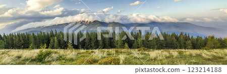 Beautiful dramatic white clouds over mountains. Forest hills in Carpathian mountains. Ukraine. 123214188