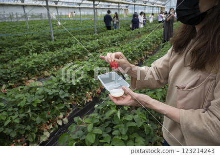 Strawberry picking with condensed milk 123214243