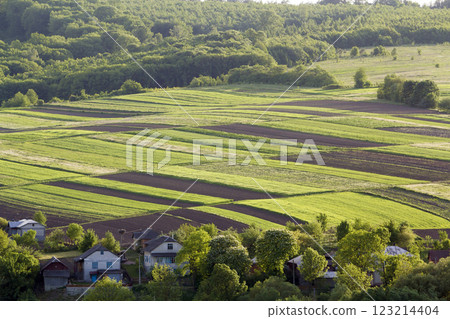 Aerial wide rural spring panorama of colorful rectangular plowed and green fields lit by sun surrounded by dense forest and village cottages between orchards. Beauty and harmony of nature concept. 123214404