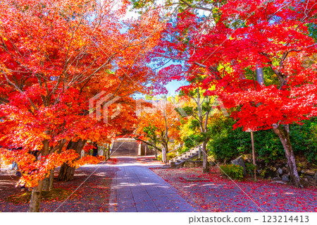 京都Komyoji秋葉 123214413