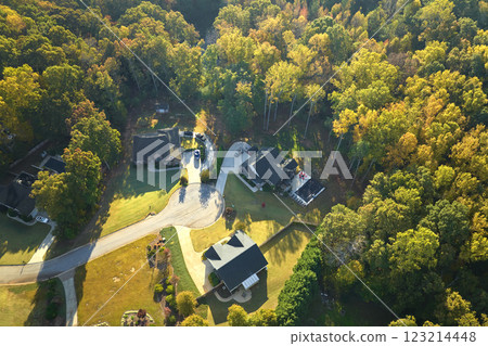Aerial view of new family houses between yellow trees in South Carolina suburban area in fall season. Real estate development in american suburbs 123214448
