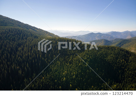 Aerial view of hillside with dark spruce forest trees at fall bright day. Beautiful scenery of wild mountain woodland Aerial view of hillside with dark spruce forest trees at fall bright day. Beautiful scenery of wild mountain woodland 123214470