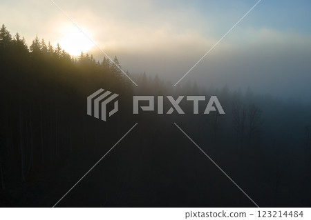 Aerial view of foggy evening over dark pine forest trees at bright sunset. Amazingl scenery of wild mountain woodland at dusk 123214484