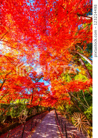 京都Komyoji秋葉 123214498