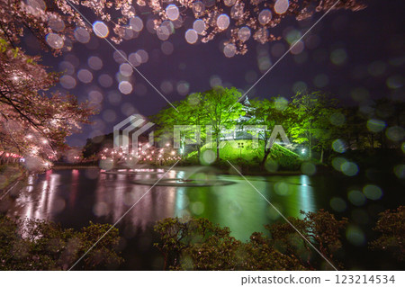 Illumination and cherry blossoms at night at Takada Castle in Niigata Prefecture 123214534