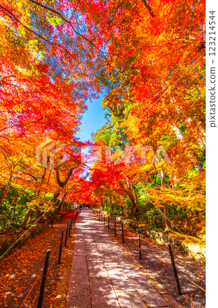 京都Komyoji秋葉 123214544