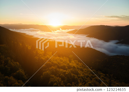 Aerial view of bright foggy morning over dark mountain forest trees at autumn sunrise. Beautiful scenery of wild woodland at dawn 123214635
