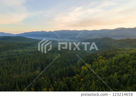 Aerial view of amazing scenery with dark mountain hills covered with forest pine trees at autumn sunrise. Beautiful wild woodland at dawn Aerial view of amazing scenery with dark mountain hills covered with forest pine trees at autumn sunrise. Beautiful wild woodland at dawn 123214658