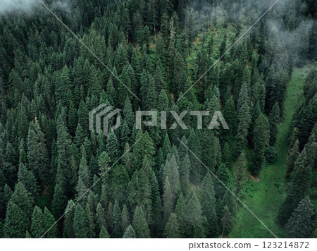 Aerial view of beautiful high altitude forest mountain landscape Aerial view of beautiful high altitude forest mountain landscape 123214872