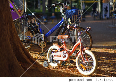 Bicycle placed in the park 123214899