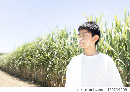 Agriculture in Okinawa: Boys and Sugarcane 123214909