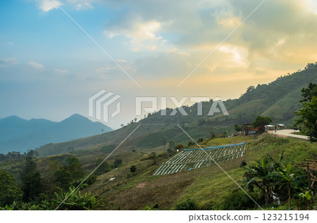 Scenic hillside landscape at sunset 123215194
