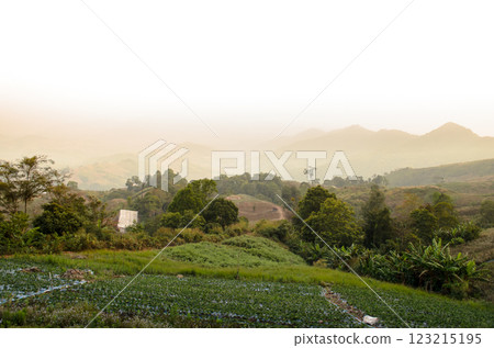 Serene landscape with hills and lush greenery. 123215195
