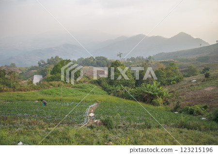 Lush green landscape with distant mountains and hills 123215196