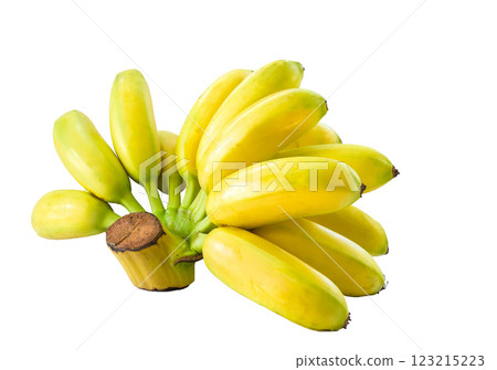 Fresh bunch of ripe yellow bananas. 123215223