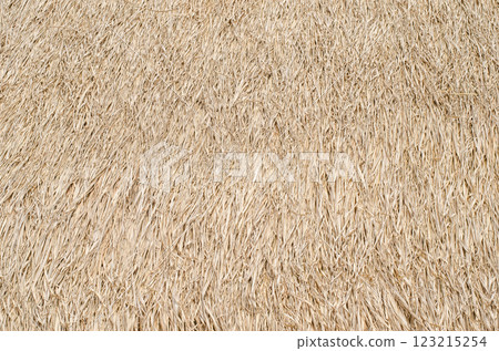 Haystack textured surface with beige tones 123215254