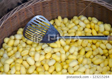 Silkworm cocoons in a woven basket with a tool. Silkworm cocoons in a woven basket with a tool. 123215264