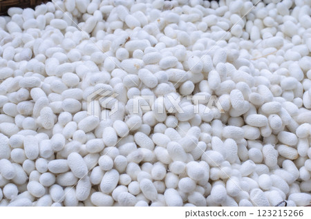 Silkworm cocoons in a woven basket Silkworm cocoons in a woven basket 123215266