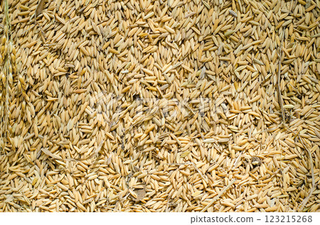 Grains scattered on a textured surface. Grains scattered on a textured surface. 123215268