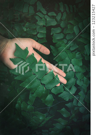 Hand among lush green leaves Hand among lush green leaves 123215427