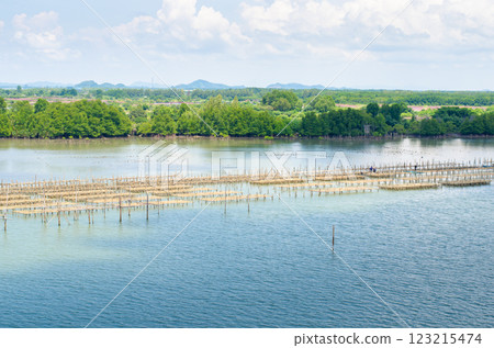 Scenic wetland landscape with birds and greenery at the Coastline of the Pak Nam viewpoint, Chanthaburi, Thailand Scenic wetland landscape with birds and greenery at the Coastline of the Pak Nam viewpoint, Chanthaburi, Thailand 123215474