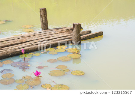 Serene pond with lotus flowers and wooden structure Serene pond with lotus flowers and wooden structure 123215567