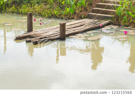 Wooden dock by murky water with green surroundings Wooden dock by murky water with green surroundings 123215568