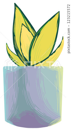 Snake plant Sansevieria Gold hahnii Snake plant Sansevieria Gold hahnii 123215572