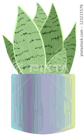 Snake plant Sansevieria Night owl Snake plant Sansevieria Night owl 123215576