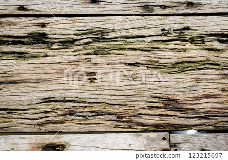 Rustic wooden texture background 123215697