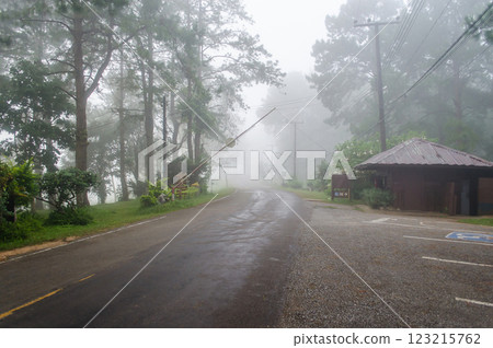 Misty road surrounded by trees and a rustic hut. Misty road surrounded by trees and a rustic hut. 123215762