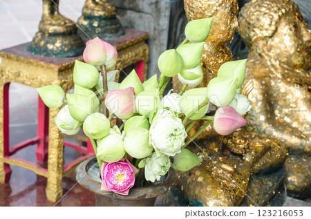 Lotus flowers arranged near a golden statue at Wat Pho Bangkok Thailand 123216053