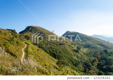 Doi Pha Tang , mountain and national forest park in Thailand at the east edge of the Thoeng District, Chiang Rai Province. Doi Pha Tang , mountain and national forest park in Thailand at the east edge of the Thoeng District, Chiang Rai Province. 123216101