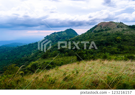 Scenic mountain landscape with lush greenery 123216157