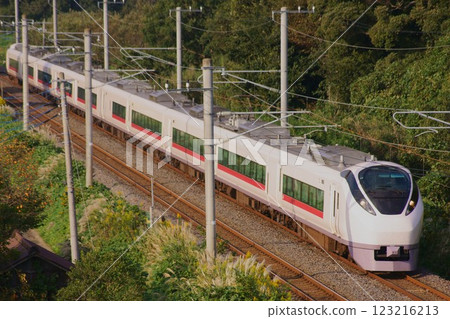 A scene of the sleek white express train, the E657 series 123216213