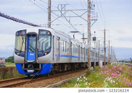 Nishitetsu Limited Express 3000 series decorated with cosmos flowers 123216214