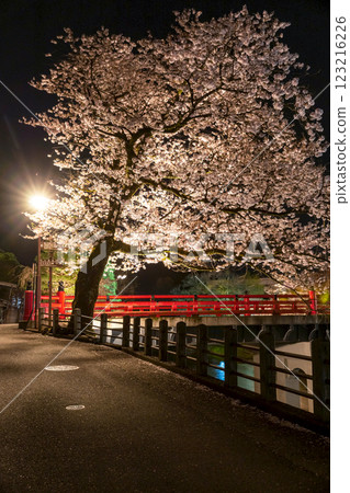 230412Nakahashi Night Cherry Blossoms z002 230412Nakahashi Night Cherry Blossoms z002 123216226