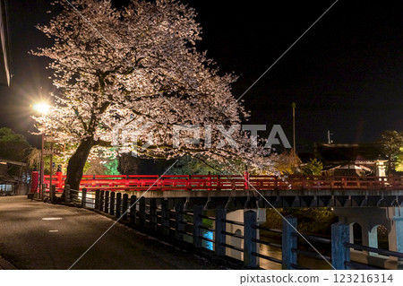 230412 中橋夜櫻 z144 230412 中橋夜櫻 z144 123216314