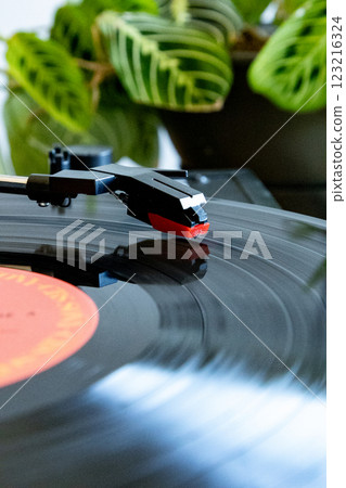 Study room and records 123216324