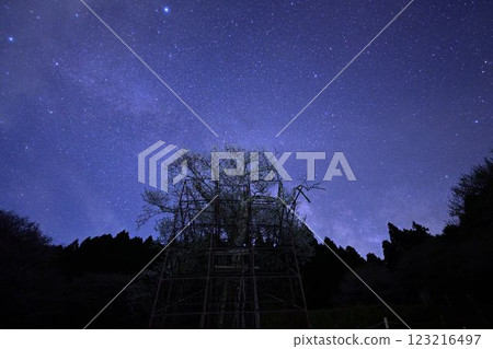 The Milky Way and Tarumi Cherry Blossoms 123216497