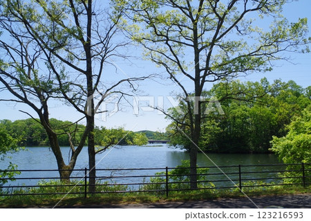 View of Kunikane Pond in Bihoku Hills Park View of Kunikane Pond in Bihoku Hills Park 123216593