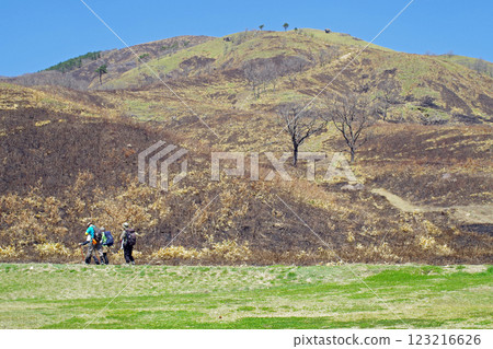 留有山火痕跡的吹入山風景 123216626