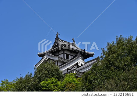 Looking up at Fukuchiyama Castle 123216691