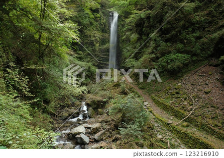 Jinzu Falls (Kamiyama Town, Nanai District, Tokushima Prefecture) Jinzu Falls (Kamiyama Town, Nanai District, Tokushima Prefecture) 123216910