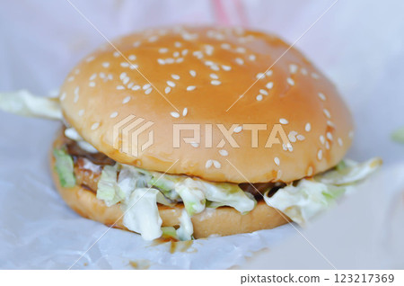burger or beef burger or hamburger , cheese burger 123217369