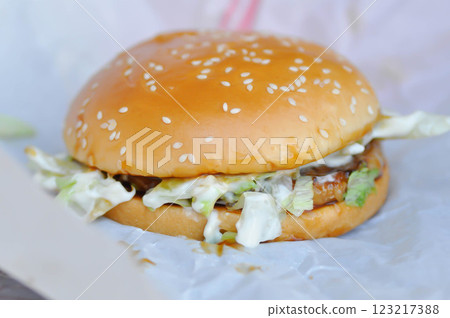 burger or beef burger or hamburger , cheese burger burger or beef burger or hamburger , cheese burger 123217388