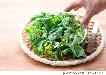 Taste of Spring: Rape blossoms in a basket Taste of Spring: Rape blossoms in a basket 123217444