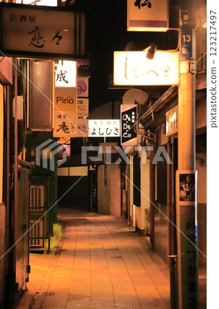 夜生活與無毛娛樂區:和歌山縣紀伊田邊站附近的後巷 夜生活與無毛娛樂區:和歌山縣紀伊田邊站附近的後巷 123217497