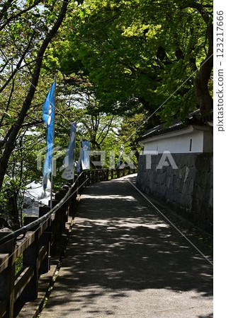 Fukuchiyama城堡在春天 Fukuchiyama城堡在春天 123217666